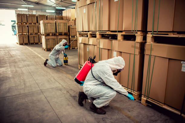Best Bed Bug Extermination  in Brocton, NY