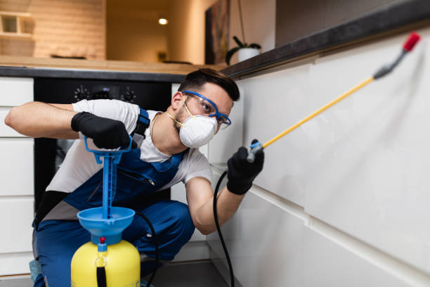 Best Exterminator Services  in Brocton, NY