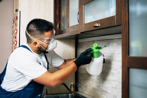 Best Mosquito Control Services  in Brocton, NY