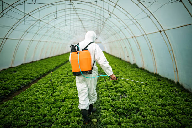 Reliable Brocton, NY Pest Control Solutions