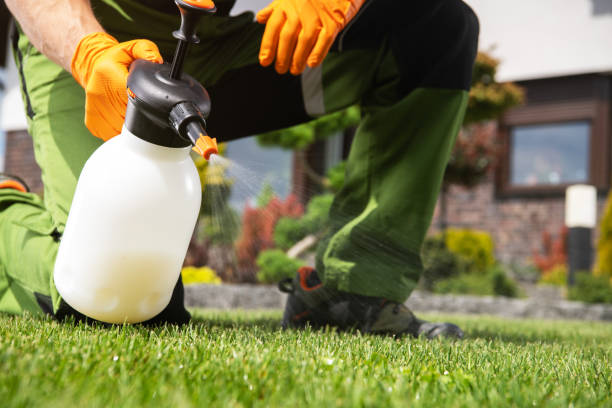 Pest Control Cost in Brocton, NY
