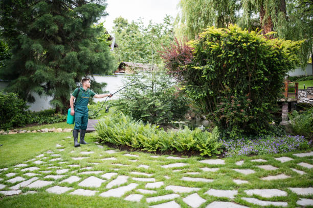 Best Pest Control Near Me  in Brocton, NY