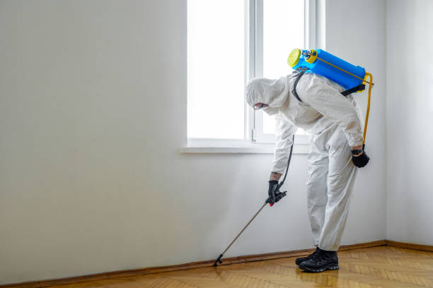 Best Pest Control for Restaurants  in Brocton, NY