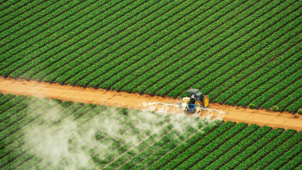 Best Best Pest Control Companies  in Brocton, NY
