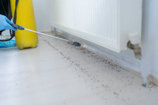 Pest Control for Restaurants in Brocton, NY