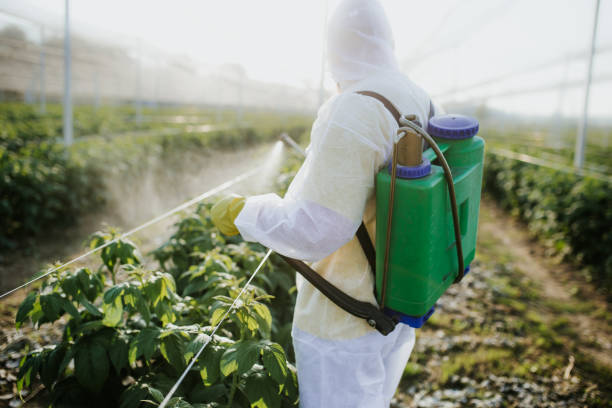 Best Residential Pest Control  in Brocton, NY